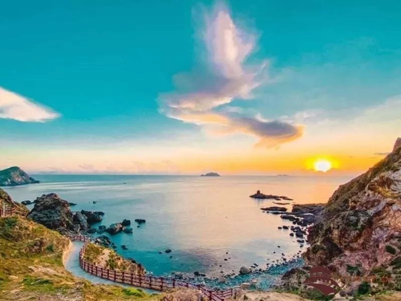 Độc đáo nghề đan võng từ cây ngô đồng trên đảo ngọc Cù Lao Chàm