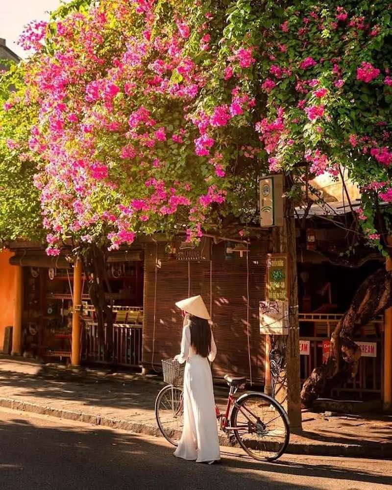 Dạo xe đạp - Cảm nhận trọn vẹn vẻ đẹp của Hội An
