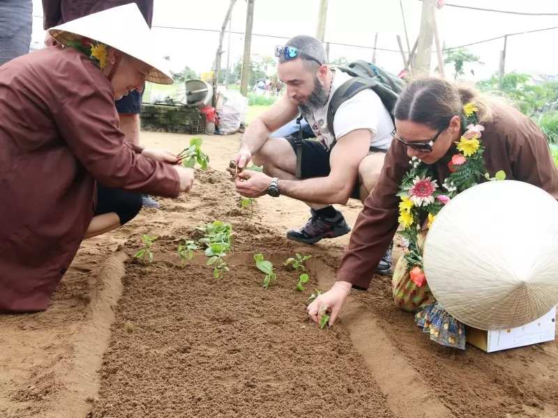 Du kh&aacute;ch ngoại quốc đang học c&aacute;ch trồng rau tại l&agrave;ng