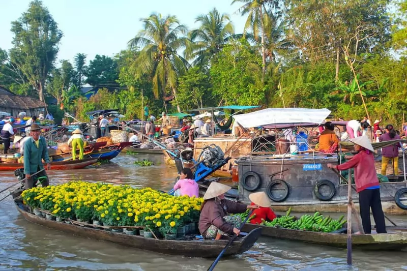 Trải nghiệm cuộc sống s&ocirc;ng nước, chợ nổi v&agrave; văn h&oacute;a miền s&ocirc;ng nước
