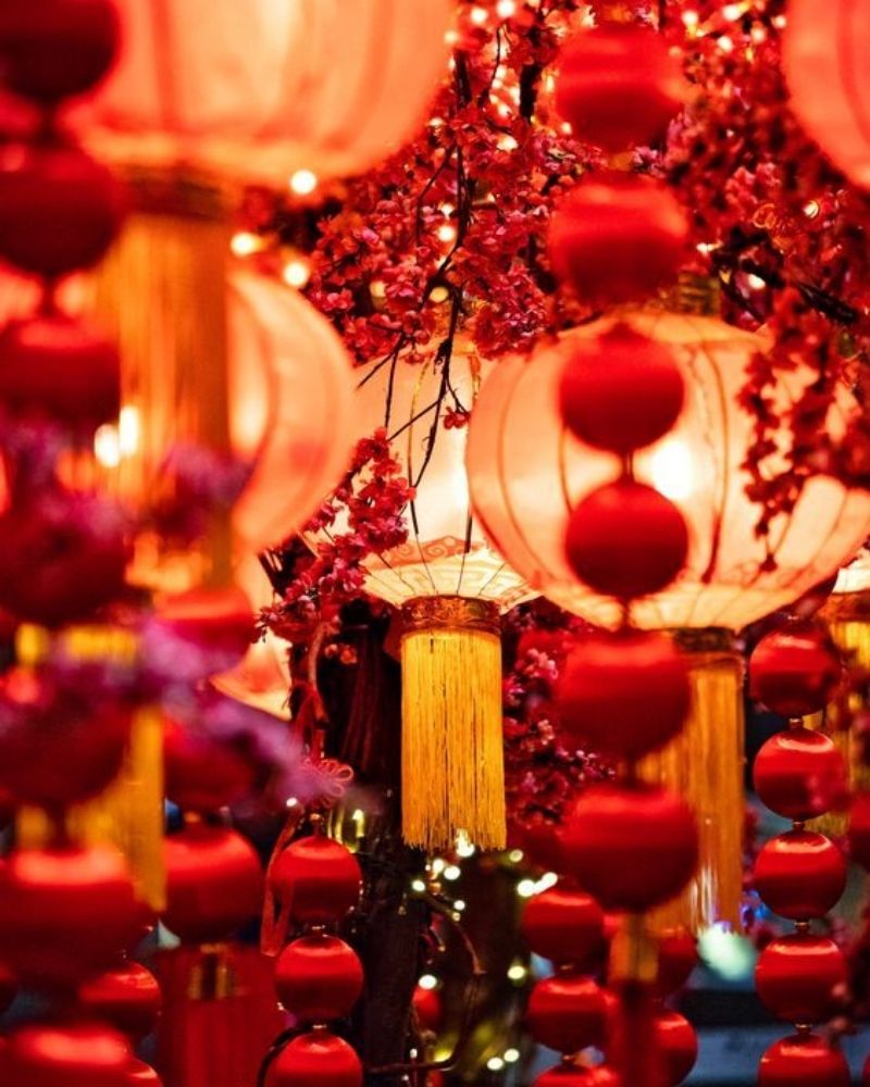 Ghé thăm phố cổ mùa xuân, ghi dấu ấn cho kinh nghiệm du lịch Hội An của bạn