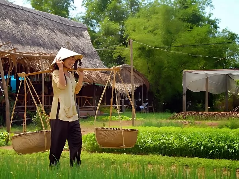 Kh&ocirc;ng kh&iacute; trong l&agrave;nh tại l&agrave;ng rau Tr&agrave; Quế&nbsp;