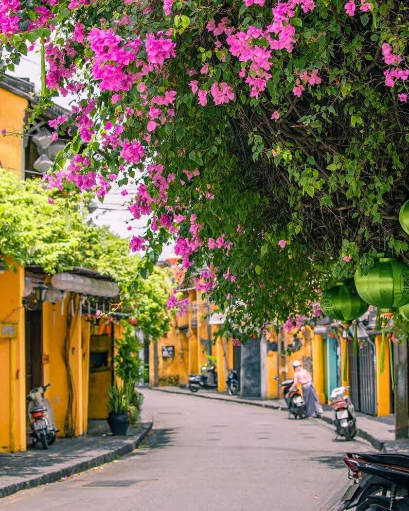 Làm sao để có có chuyến “du lịch xanh" tại Hội An đúng nghĩa?
