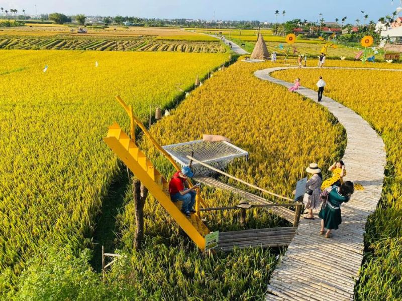 Một góc nhìn khác cho những bức ảnh về thiên nhiên 