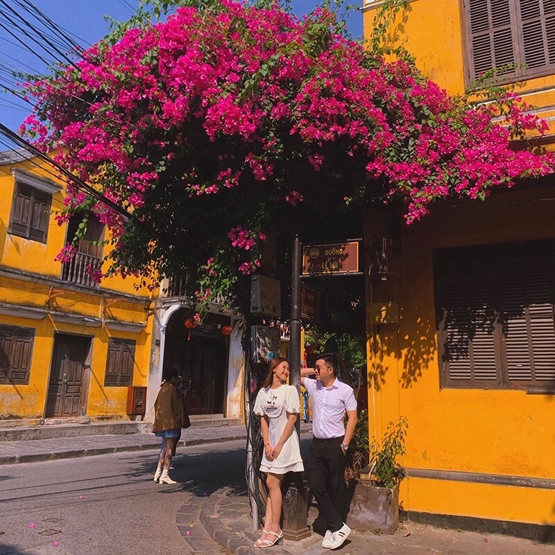 Những ngôi nhà có giàn hoa giấy rực rỡ là điểm check-in cực kỳ vintage ở phố cổ Hội An