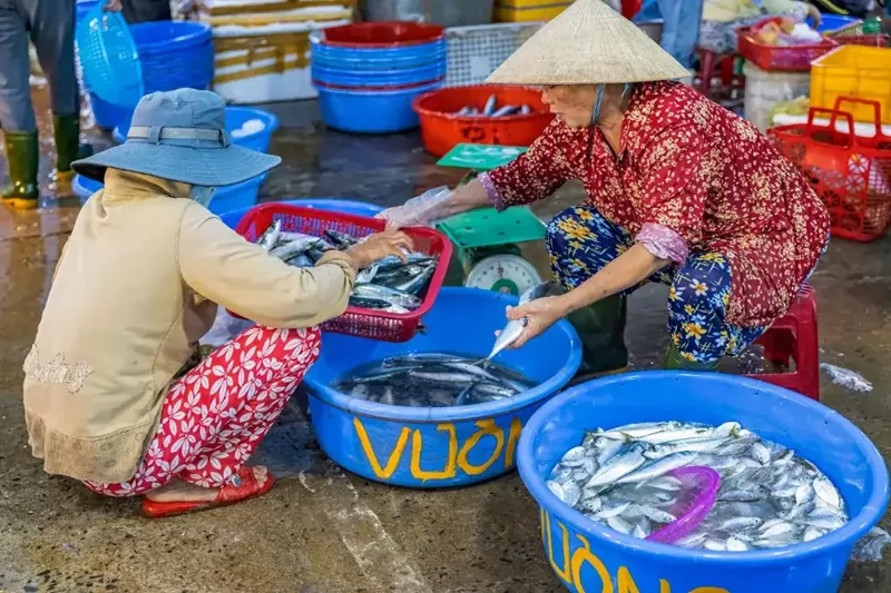 Nơi lựa chọn c&aacute; tươi sống được mọi người biết đến rộng r&atilde;i