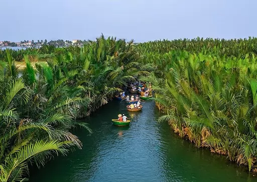 The vast coconut forest is a must-visit location for check-in 