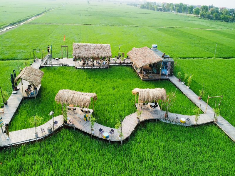 Thiết kế chòi mái lá ôm trọn du khách trong thiên nhiên