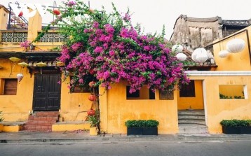 Tips for self travel in Hoi An Ancient Town for “busy-ers”