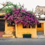 Tips for self travel in Hoi An Ancient Town for “busy-ers”