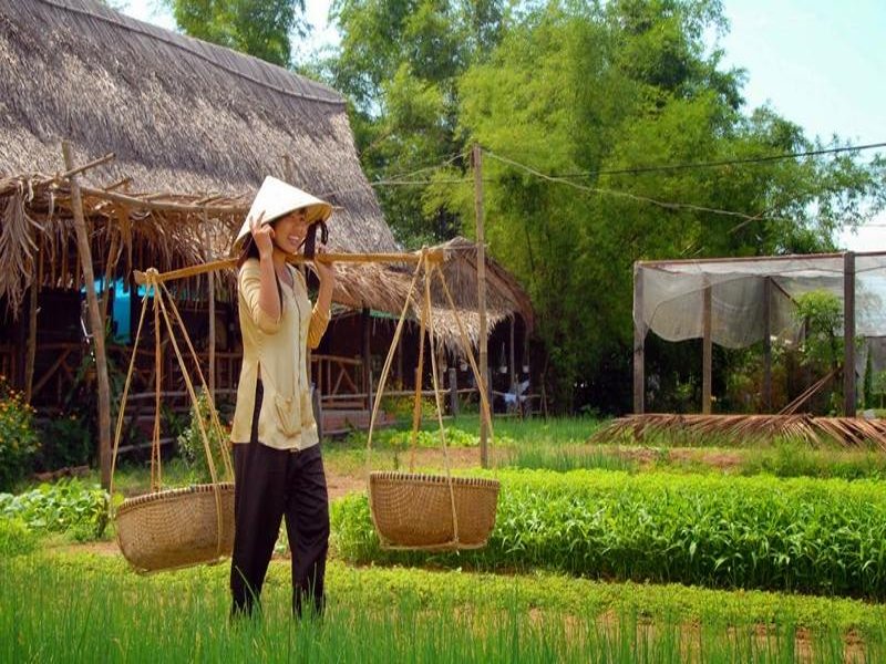 Khu du lịch sinh thái Triềm Tây là một điểm đến hấp dẫn với những ai yêu thích thiên nhiên