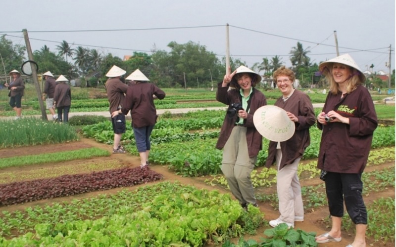 Vườn rau mầm Trà Quế địa chỉ tại xã Cẩm Hà, Hội An